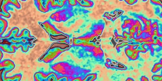 VibrantThoughtsLanding Header